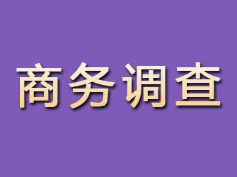 普陀区商务调查